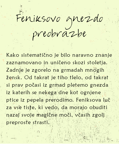 
Feniksovo gnezdo preobrazbe Kako sistematično je bilo naravno znanje zaznamovano in uničeno skozi stoletja. Zadnje je zgorelo na grmadah mnogih žensk. Od takrat je tiho tlelo, od takrat si prav počasi iz grmad pletemo gnezda iz katerih se nekega dne kot ognjene ptice iz pepela prerodimo. Feniksova luč za vse tiste, ki vedo, da morajo obuditi nazaj svoje magične moči, včasih zgolj preproste strasti. 