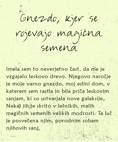 
Gnezdo, kjer se rojevajo magična semena Imela sem to neverjetno čast, da me je vzgajalo leskovo drevo. Njegovo naročje je moje varno gnezdo, moj edini dom, v katerem sem rastla in bila priča leskovim sanjam, ki so ustvarjala nove galaksije. Nekaj jih je skrito v lešnikih, malih magičnih semenih velikih modrosti. Ta luč je posvečena njim, porodnim sobam njihovih sanj.
