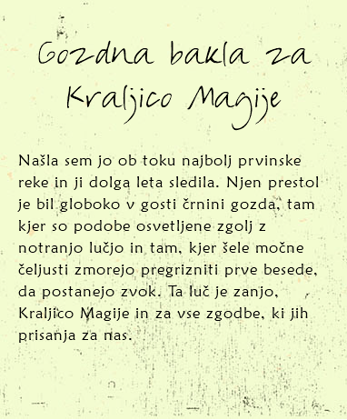 
Gozdna bakla za Kraljico Magije Našla sem jo ob toku najbolj prvinske reke in ji dolga leta sledila. Njen prestol je bil globoko v gosti črnini gozda, tam kjer so podobe osvetljene zgolj z notranjo lučjo in tam, kjer šele močne čeljusti zmorejo pregrizniti prve besede, da postanejo zvok. Ta luč je zanjo, Kraljico Magije in za vse zgodbe, ki jih prisanja za nas. 