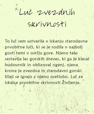 
Luč zvezdnih skrivnosti To luč sem ustvarila v iskanju starodavne prvobitne luči, ki se je rodila v najbolj gosti temi v osrčju gore. Njeno telo sestavlja les gorskih dreves, ki ga je klesal hudournik in oblizoval ogenj, njena krona je zvezdna in starodavni gorski lišaji se igrajo z njeno svetlobo. Luč za iskalce prvobitne skrivnosti Življenja. 