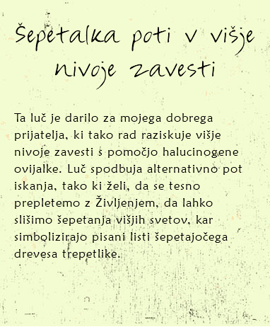
Šepetalka poti v višje nivoje zavesti Ta luč je darilo za mojega dobrega prijatelja, ki tako rad raziskuje višje nivoje zavesti s pomočjo halucinogene ovijalke. Luč spodbuja alternativno pot iskanja, tako ki želi, da se tesno prepletemo z Življenjem, da lahko slišimo šepetanja višjih svetov, kar simbolizirajo pisani listi šepetajočega drevesa trepetlike. 
