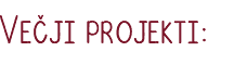 Večji projekti: