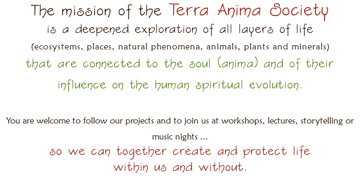 The mission of the Terra Anima Society
is a deepened exploration of all layers of life (ecosystems, places, natural phenomena, animals, plants and minerals) that are connected to the soul (anima) and of their influence on the human spiritual evolution. You are welcome to follow our projects and to join us at workshops, lectures, storytelling or music nights ...
so we can together create and protect life
within us and without.