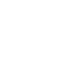 Protecting the forest and an old tree is protecting universal wisdom, thousand years of knowledge that pulsates somewhere deep, even inside of us...