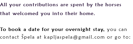 All your contributions are spent by the horses that welcomed you into their home. To book a date for your overnight stay, you can contact Špela at kapljaspela@gmail.com or go to: