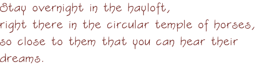 Stay overnight in the hayloft, right there in the circular temple of horses, so close to them that you can hear their dreams.