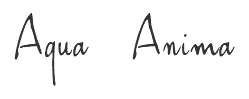 Aqua Anima