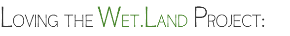 LOVING THE WET.LAND PROJECT: