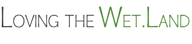 LOVING THE WET.LAND