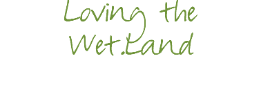 Loving the Wet.Land 